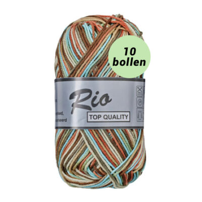 Rio multi blauw bruin mosgroen 638 katoen garen - 10bollen